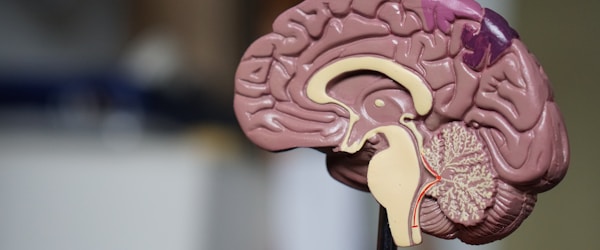 彩神Vll智能健康监测设备科技展示